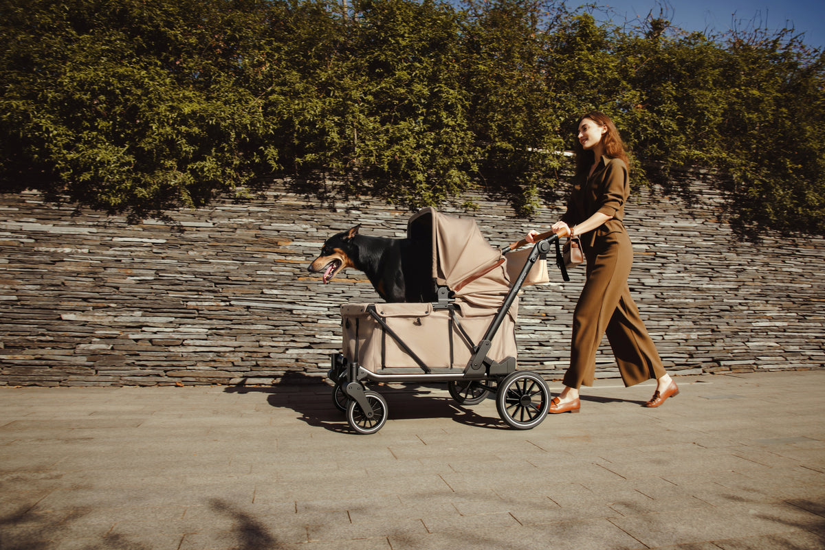 Woman pushing a beige pet wagon with a black-and-tan dog along a paved path.