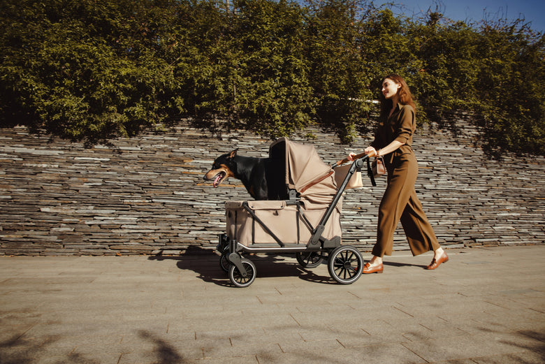 Woman pushing a beige pet wagon with a black-and-tan dog along a paved path.