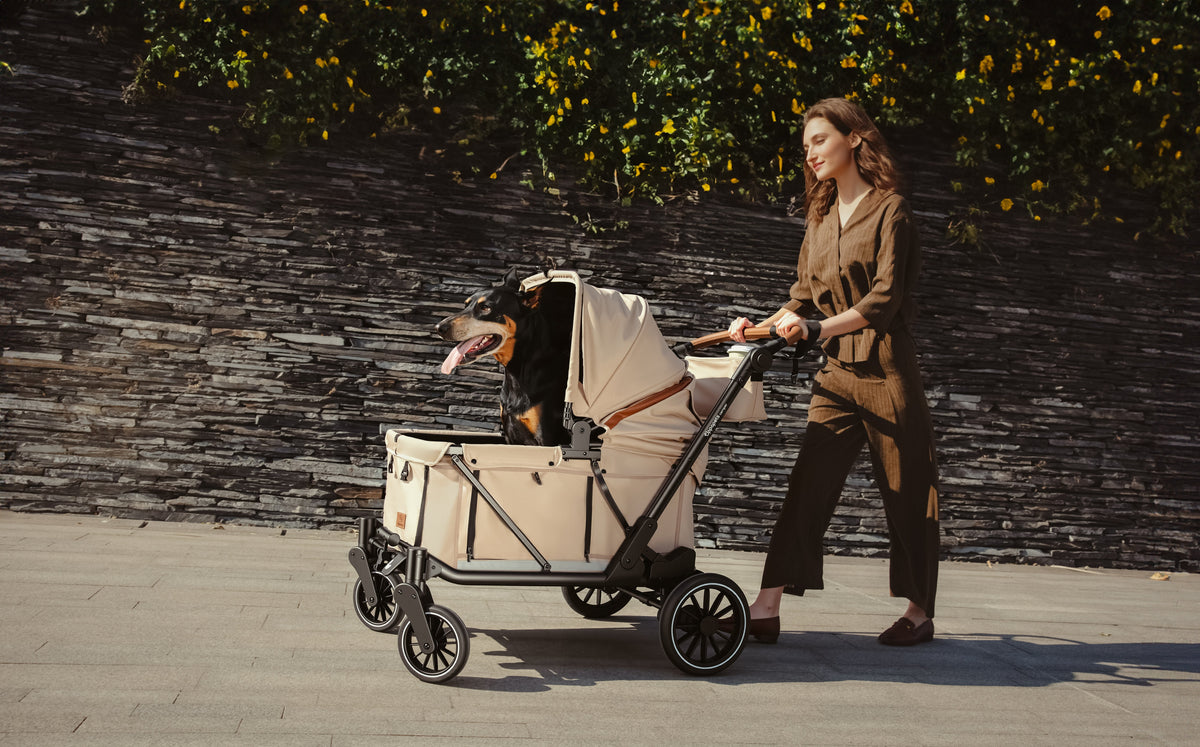 Black-and-tan dog in a beige pet wagon beside a woman on a sunlit path.