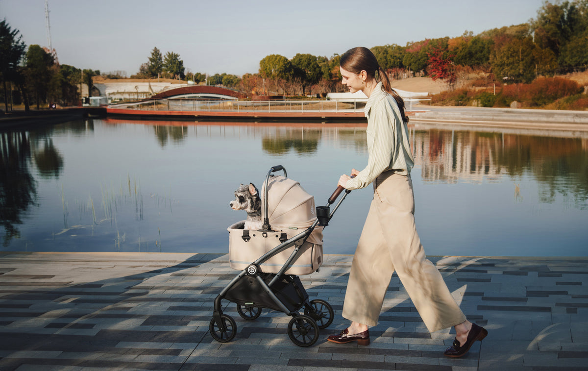 Woman pushing a beige pet stroller with a grey-and-white dog along a lakeside path.
