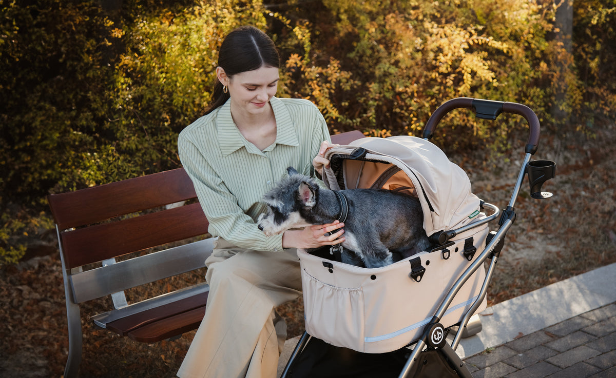 Woman seated on a bench with a grey-and-white dog in a beige pet stroller.