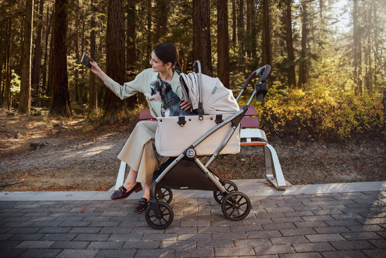 Woman taking a phone photo beside a dog in a beige pet stroller among trees.