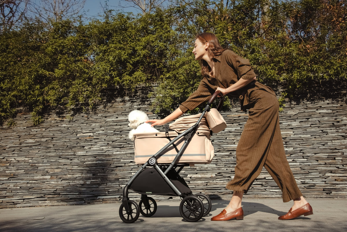Woman reaching towards a white dog in a beige pet stroller on a paved path.