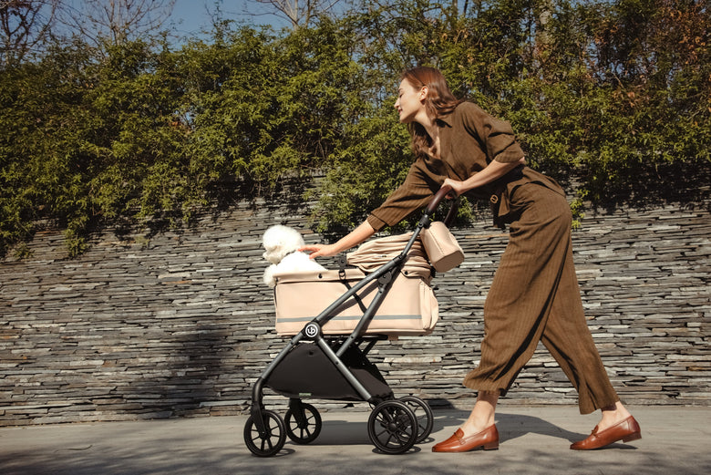 Woman reaching towards a white dog in a beige pet stroller on a paved path.