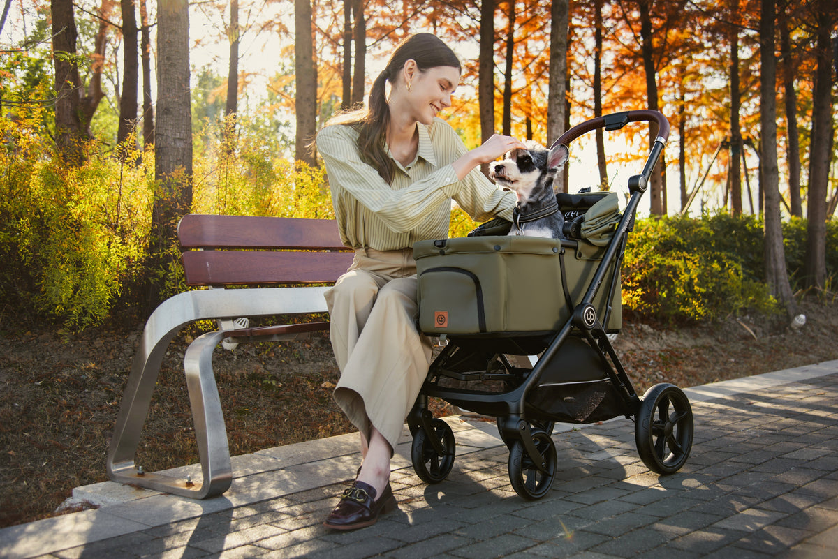 Woman seated on a park bench beside a grey-and-white dog in a green pet stroller.
