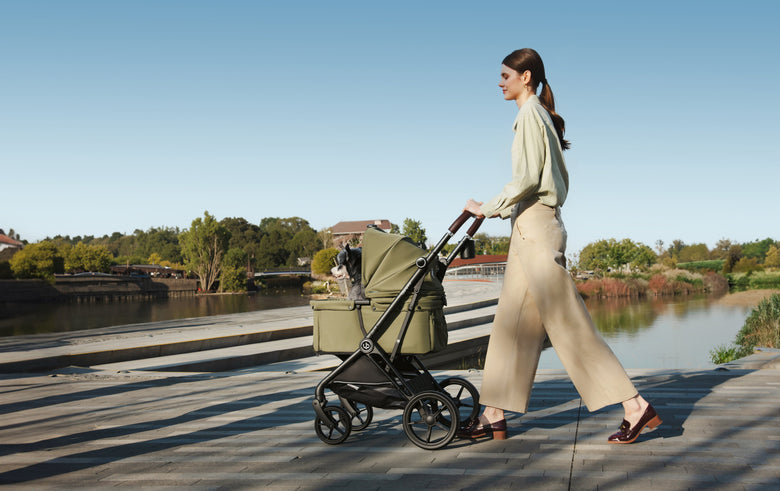Woman pushing a green pet stroller with a grey-and-white dog beside a lake.