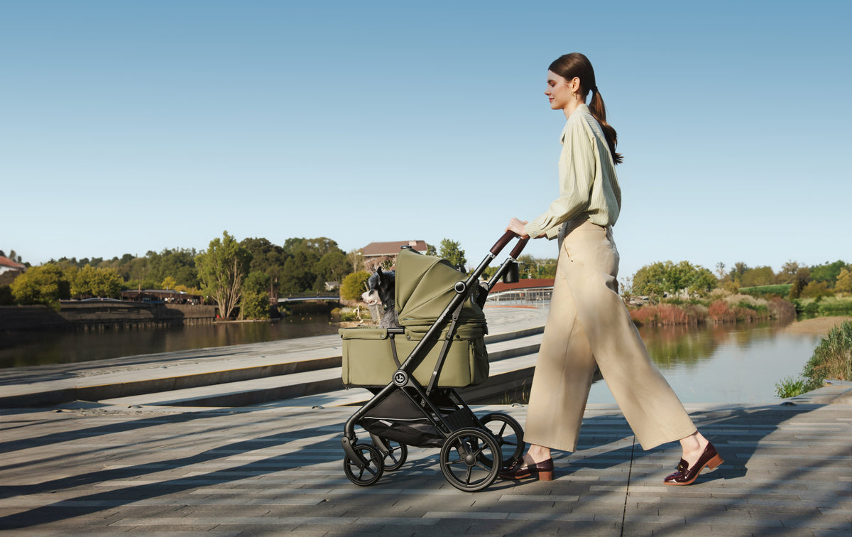 Woman pushing a green pet stroller with a grey-and-white dog beside a lake.
