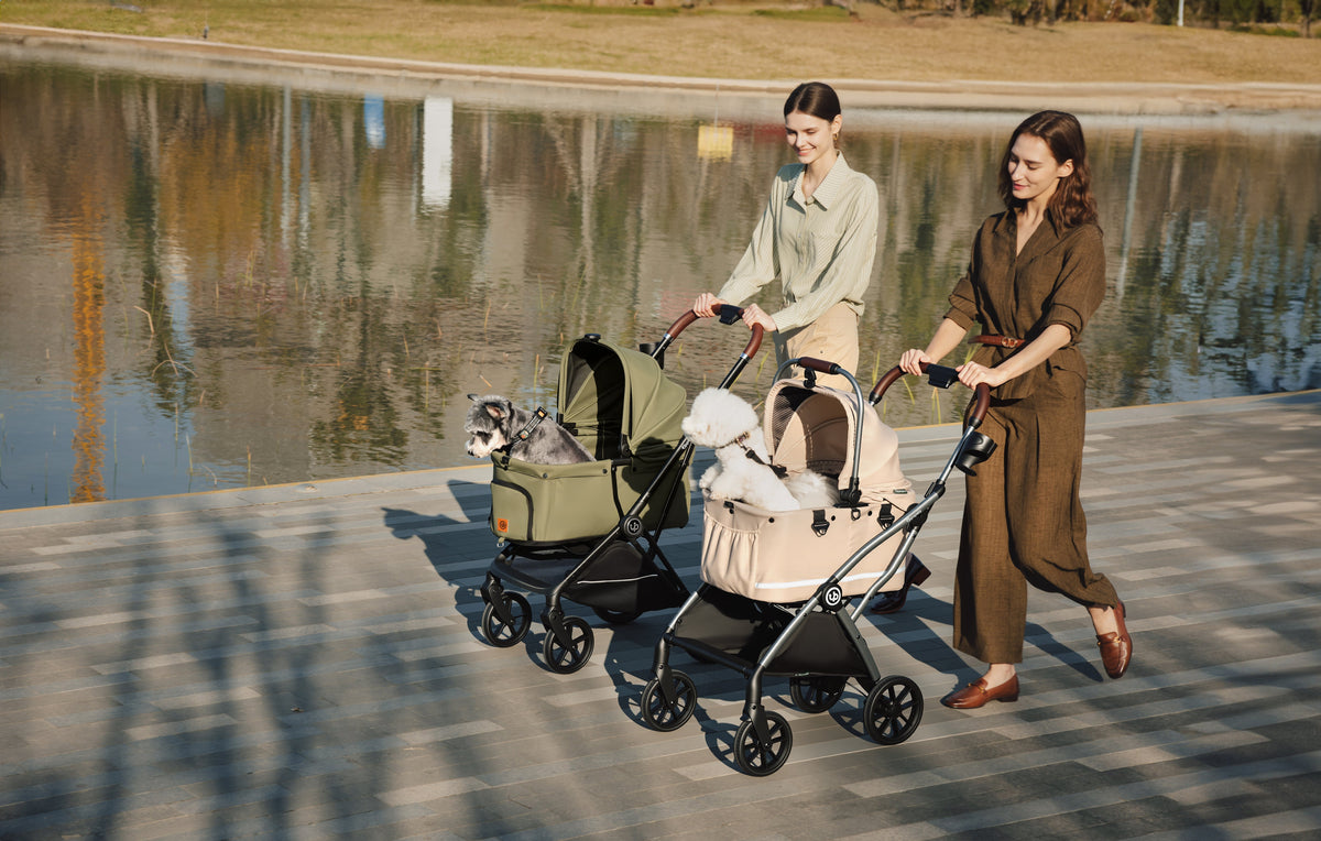 Two women walking beside a lake with dogs in green and beige pet strollers.