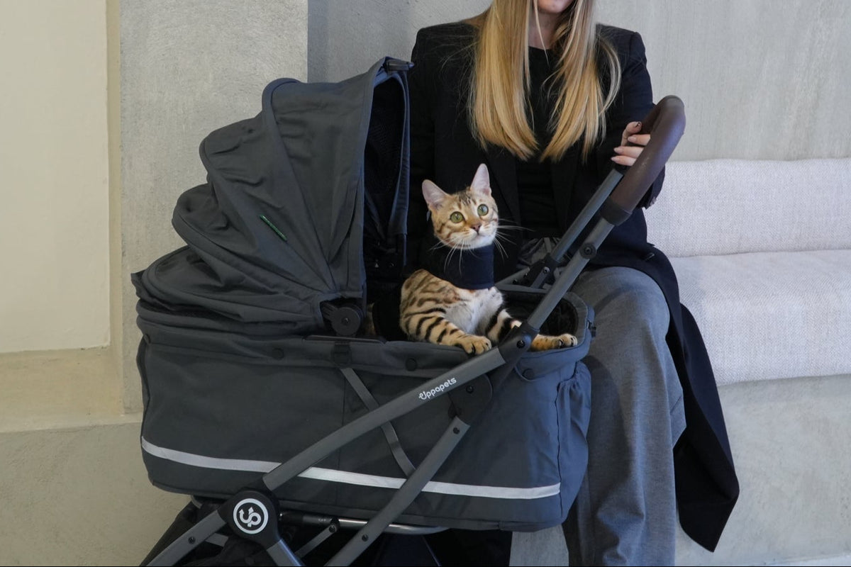Hybrid Pet Stroller - Charcoal