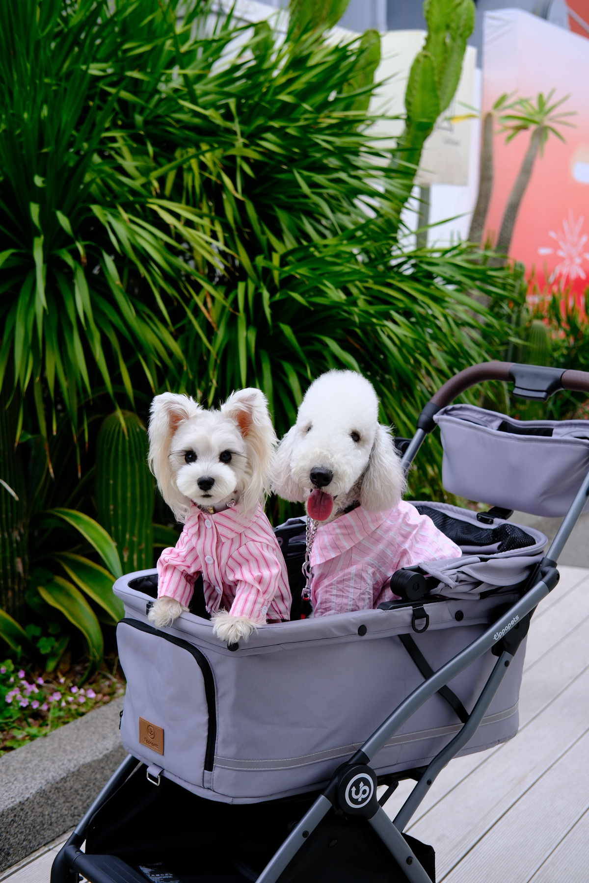 Hybrid Pet Stroller - Warm Gray