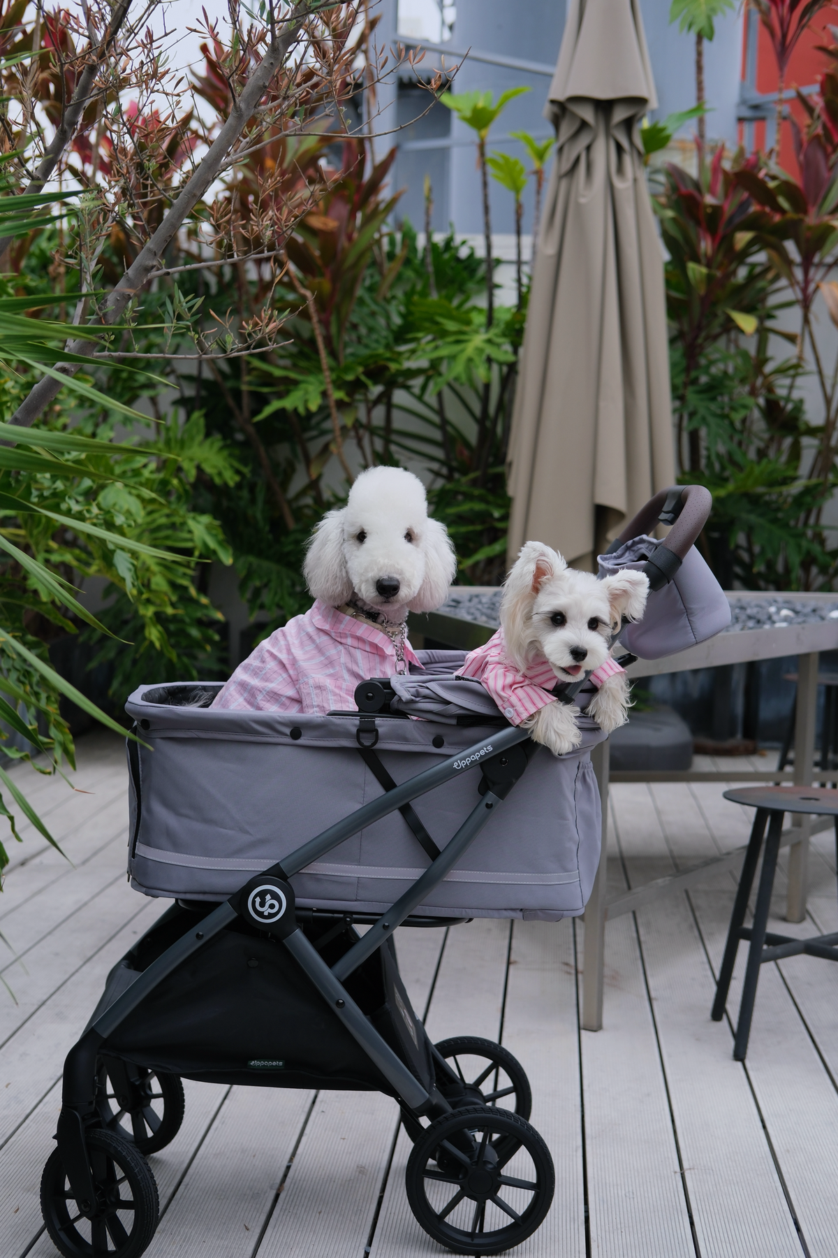 Hybrid Pet Stroller - Warm Gray