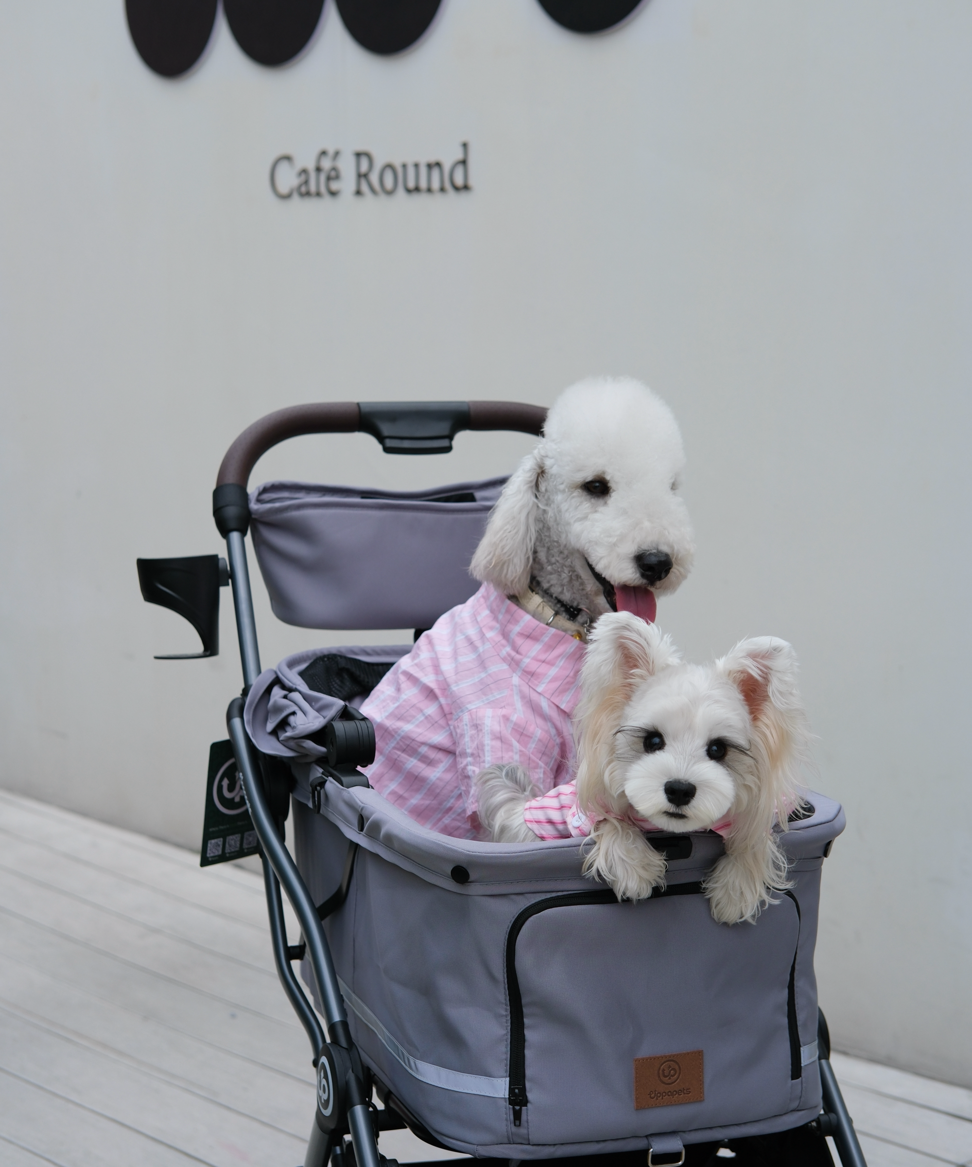 Hybrid Pet Stroller - Warm Gray