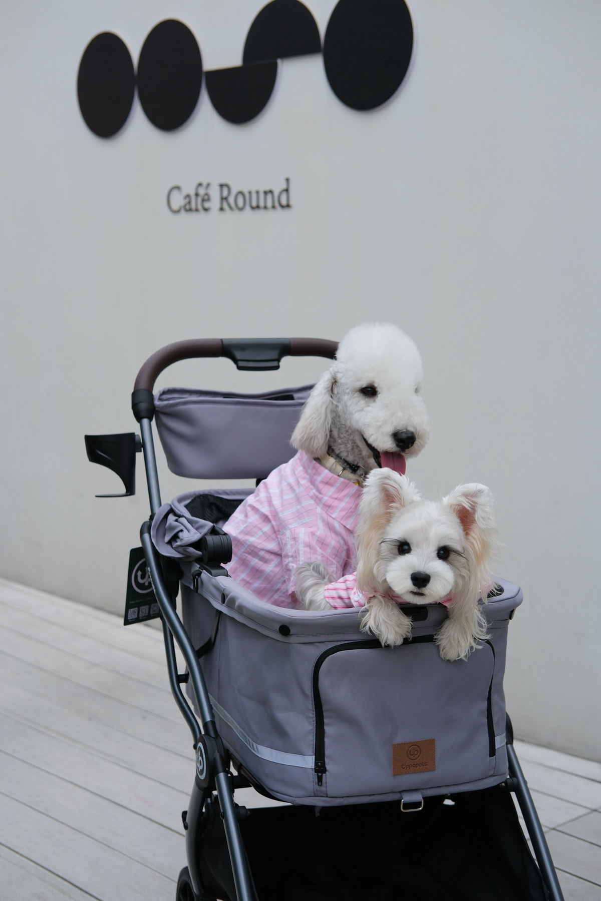 Hybrid Pet Stroller - Warm Gray
