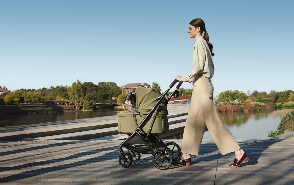 Nero Plus Pet Stroller - Green