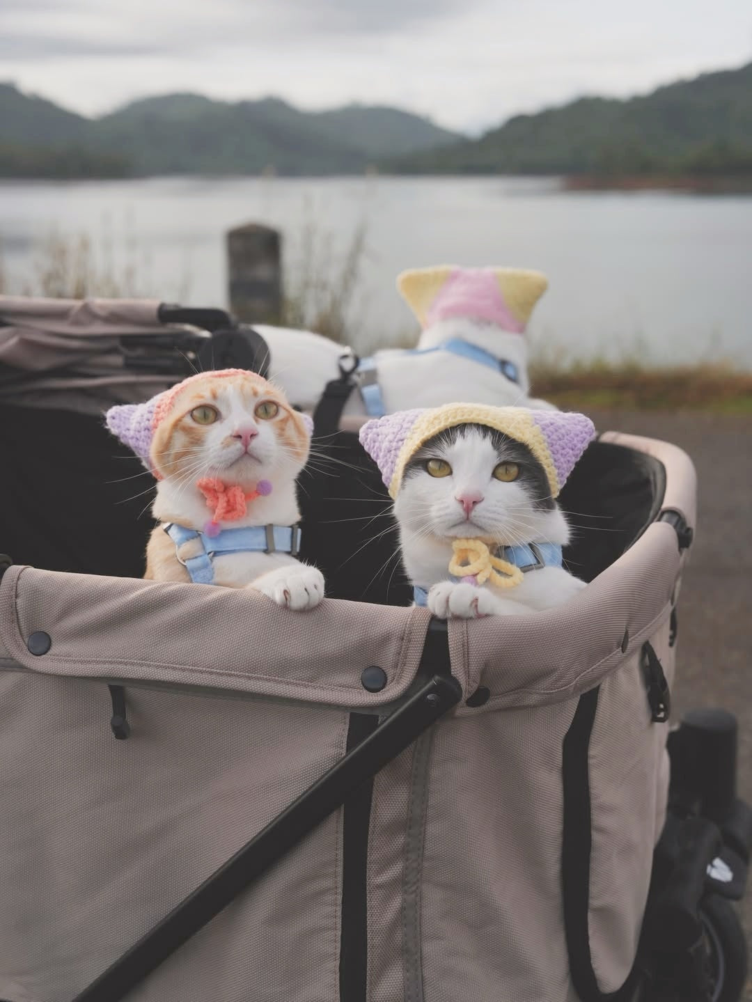 Camper Max Pet Stroller - Beige