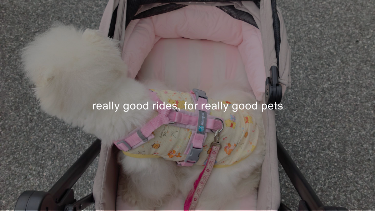 pet stroller accessories