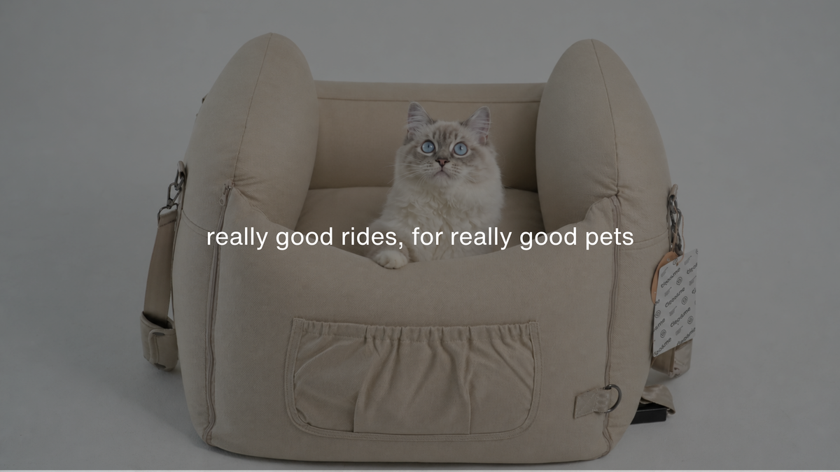 pet car seats