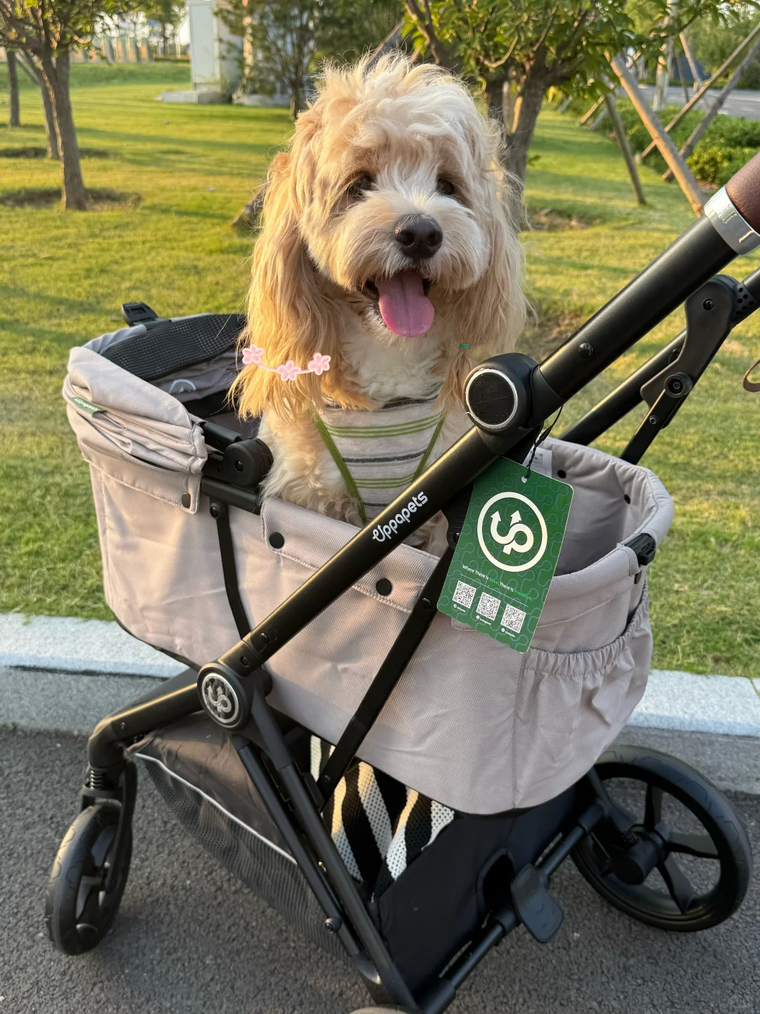 Nero Plus Pet Stroller - Beige